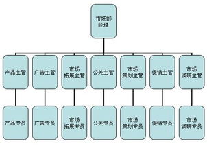 公司的组织结构如何划分 