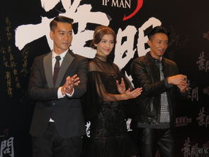 叶问3 香港首映 甄子丹不反对子女当演员 