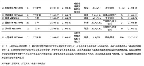 中期票据的相关研究