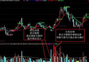 股票中怎么样算放天量，怎么样算地量，它们的标准分别是什么