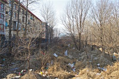 河南,男子小区绿化带挖坟葬母引发恐慌,原来小区本就建在坟地上