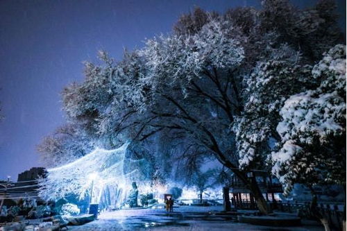 雪景夜色唯美图片 图片搜索