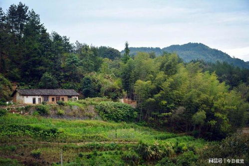 农村人在山中建房,屋前砌高坝,看为啥100年不倒