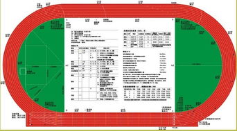 田径赛道百米标准尺寸,田径场百米跑道