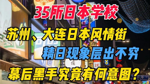 35所日本学校 大连 苏州日本风情街 文化入侵我们必须要抵制 