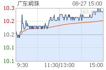 广东明珠600382我九块八买入的后市如何操作