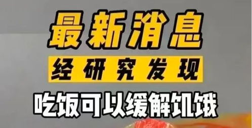 专家说吃饭可以缓解饥饿,睡觉可以减轻疲惫 网友震惊 差点饿死 胡闹 课题组 网易订阅 