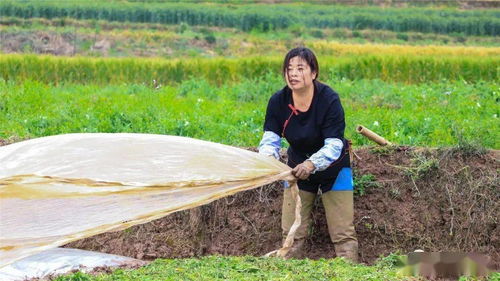 种田的女人