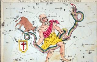 揭秘十三星座蛇夫座 11.30 12.17 的独特存在,完美的星座 