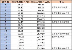 宁德时代 股票15个涨停赚多少