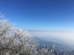 四川冬天适合去的景点 (四川冬天值得去的地方)