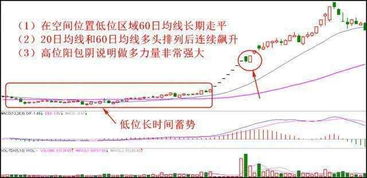 买入和介入有何区别