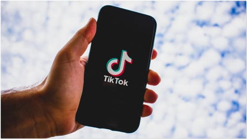 TikTok商务中心如何调整合作伙伴对广告账户的权限_tiktok直播账号购买