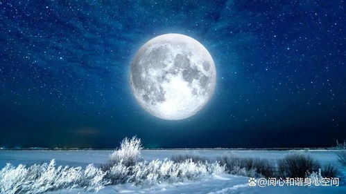 2月春节后第一轮满月,狮子座满月能量下,我们需要知道的5件事