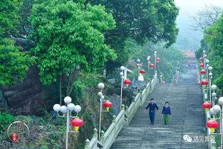 景区停车场收费标准(普宁藏莲寺停车场收费标准)