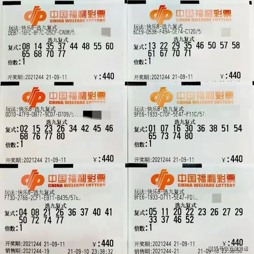 福彩快乐8第244期晒票,任何事都没有永远,也别问怎样才能够永远