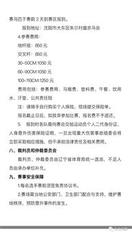 东北马联巡回赛第五站将作为辽宁省省运会马术项目开赛 