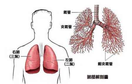肺癌晚期医生不建议手术和放化疗