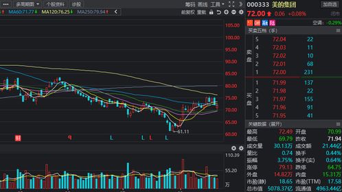 谁知道炒股时我的资金账号是什么账号?是关联的银行卡账号吗?