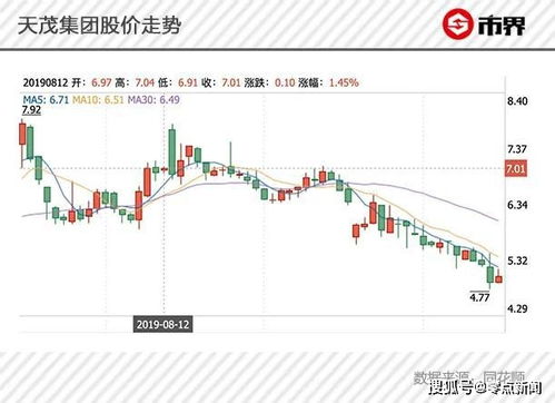 出钱投资占股份不参与管理叫什么