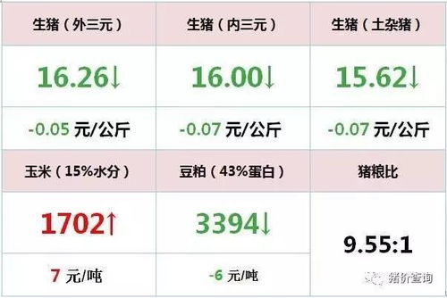 2017年3月8日西南地区生猪 鸡蛋价格行情