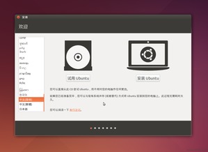 安装win10ubuntu共存