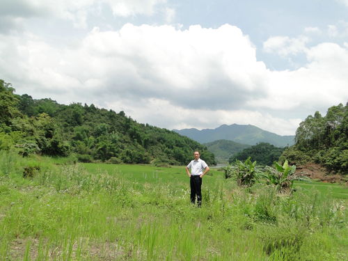 杨公风水点穴开山立向,二十四山三煞王君植大师详解