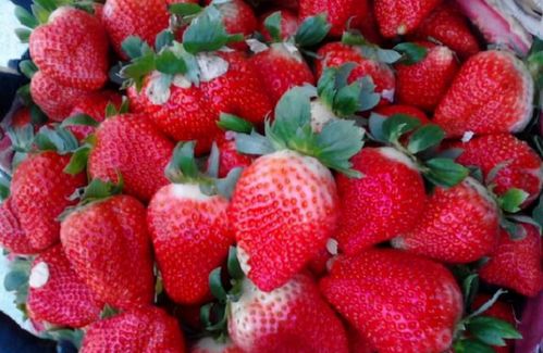 买草莓,碰到 这4种 一律不能要,水果贩 我从不给家人吃