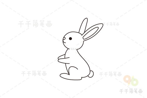 幼儿简笔小兔子画法图片教程 兔子简笔画 