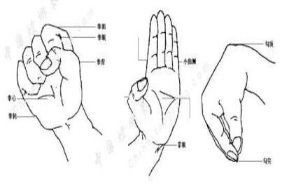 传统武术手型之拳型