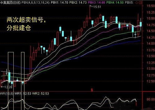 当威廉指标与什么指标产生共振时，趋势反转