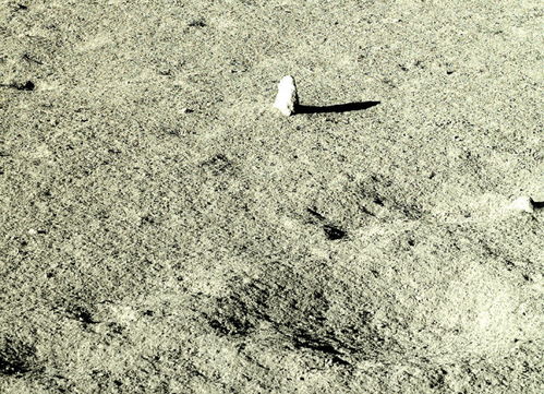 嫦娥四号旁的 石碑 彩照曝光,专家称不寻常,玉兔二号已调查完