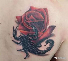 Tattoo 纹身素材 十二星座之天蝎射手座 