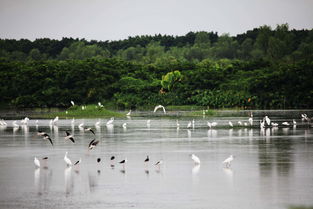 南沙湿地公园值得去吗