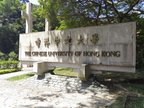 自考香港中文大学,自考本科可以申请香港研究生吗？(图3)