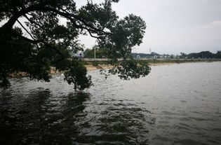 富川神仙湖景区攻略,富川神仙湖景区门票 游玩攻略 地址 图片 门票价格 