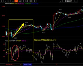 大智慧指标(rsi)白,黄,红,三条线各代表什么?如核分析?