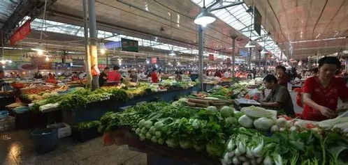 未来去哪买菜 沧州新建改造8个大型菜市场 还有这些马路市场将被取缔