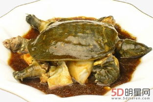 乌龟汤的功效与作用 大补汤 龟肉龟壳都可以煲汤