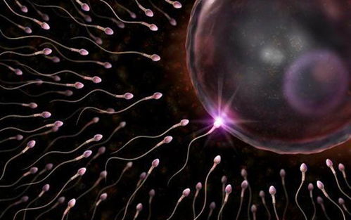 精子在体内存活几天，精子在女性体内能存活多久