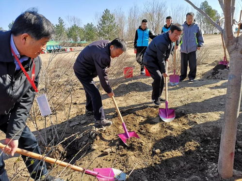 181名部级领导在北京朝阳种树 这里有一波现场图