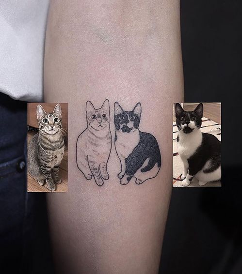 那些炫酷的猫咪纹身