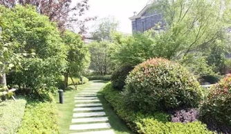 适合庭院的观赏树木植物,适合庭院的观赏树木植物