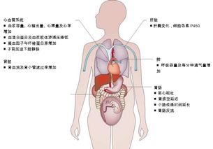 Nature子刊 妊娠期心血管病用药安全综述要点