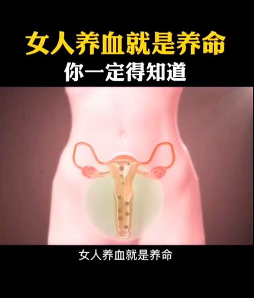 女人养血就是养命,你一定得知道 