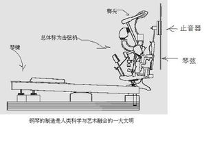 钢琴需要电么