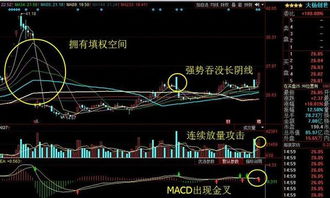 原来的银基发展现在重组变成了哪支股票