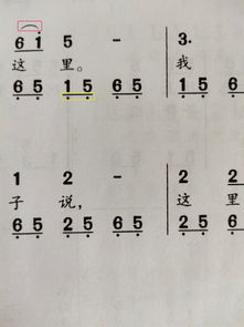 问琴去造句—琴的组词？