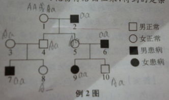 如图为白化病遗传图解,分析8号和10号婚配生下一个患病孩子的几率为 告诉我怎么做的 