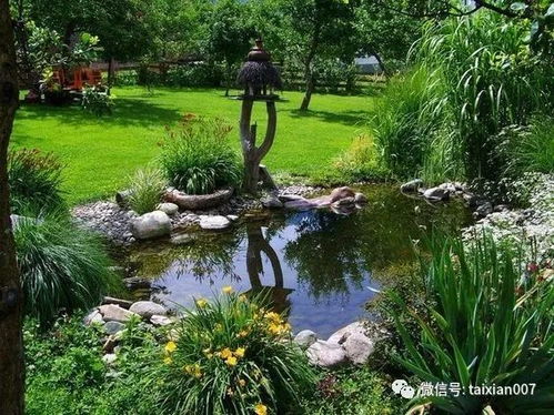 院子必须有个水池,冬暖夏凉,养鱼浇花